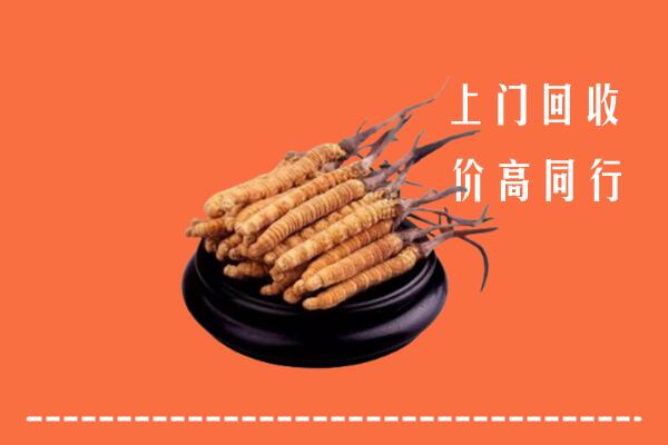 高价求购：山南市曲松回收散虫草