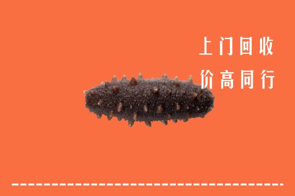 高价求购：山南市曲松回收海参