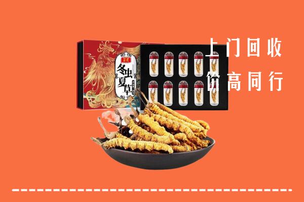 山南市曲松回收虫草